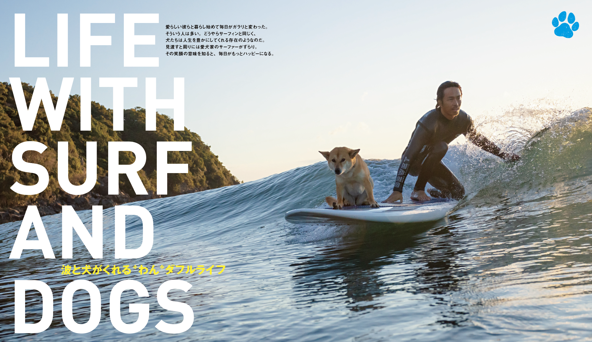 サーファーとワンちゃん（ペット）のいい関係。暖かくなったら犬と一緒  
